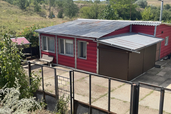 Продаж горіхового саду в Кіровоградській області